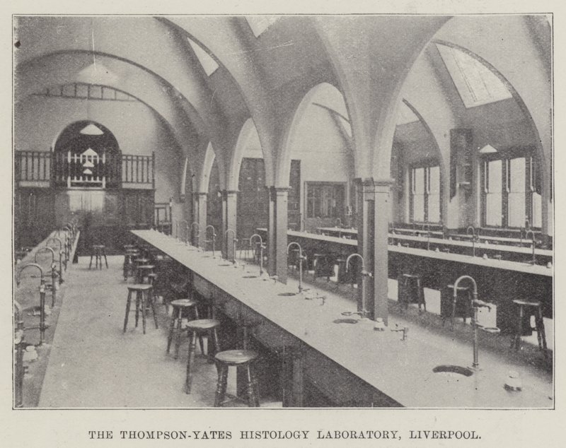 Het Thompson-Yates Histologie Laboratorium, Liverpool door English School