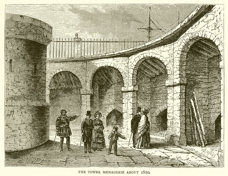 De Menagerie van de Toren rond 1820 door English School