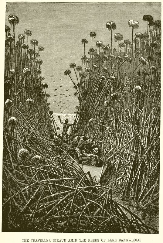 De reiziger Giraud tussen het riet van het Bangweolo-meer door English School
