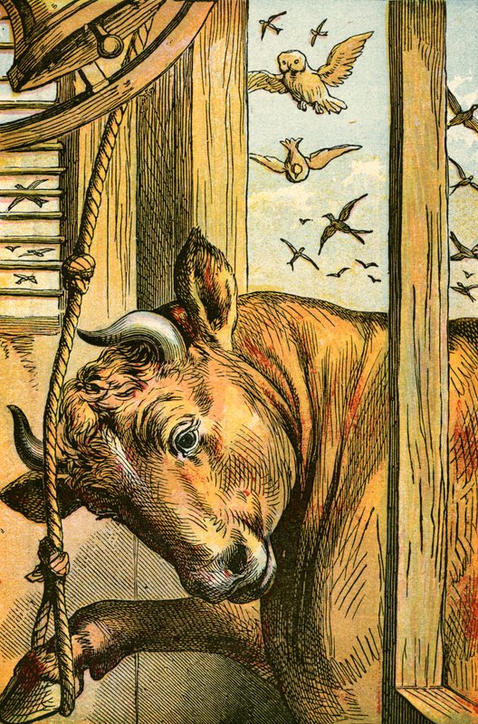 De stier die de bel luidt door English School