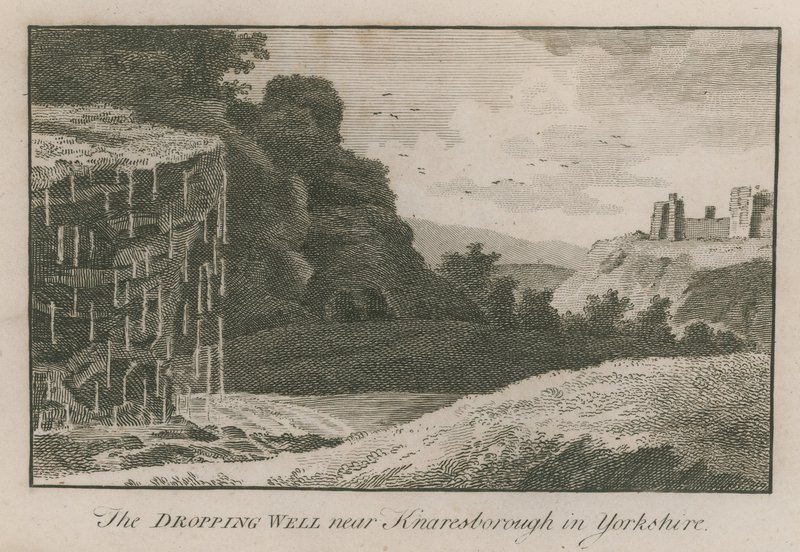 De druipende bron bij Knaresborough in Yorkshire door English School