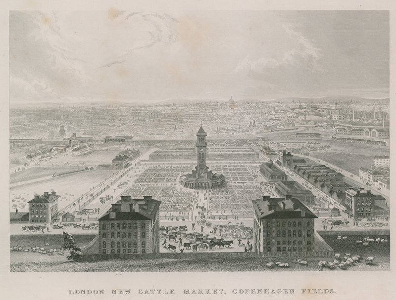 De nieuwe Metropolitaan Veemarkt, Kopenhagen Velden, Londen door English School
