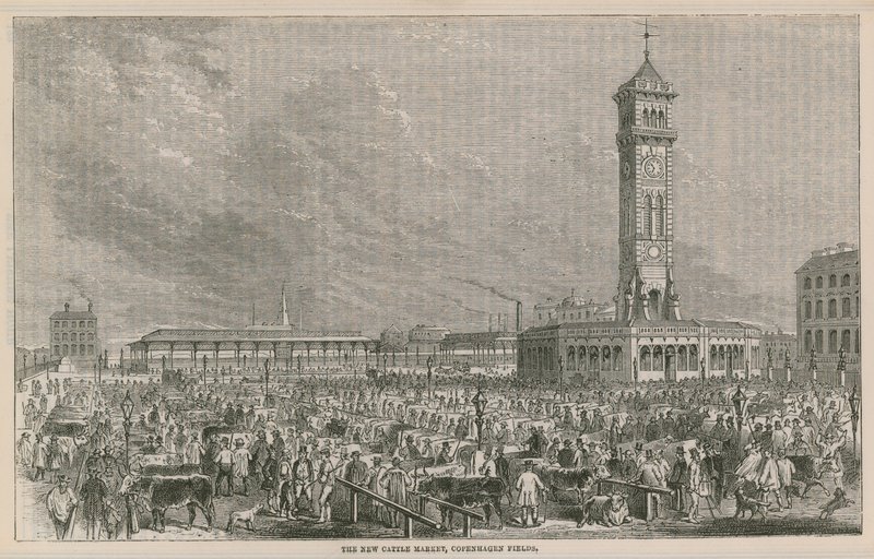 De nieuwe veemarkt, Copenhagen Fields, Londen door English School