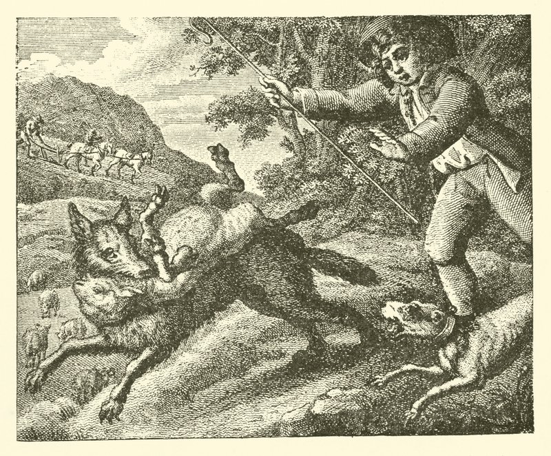 De herdersjongen (gravure) door English School