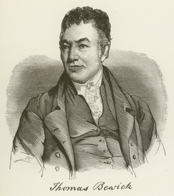 Thomas Bewick door English School