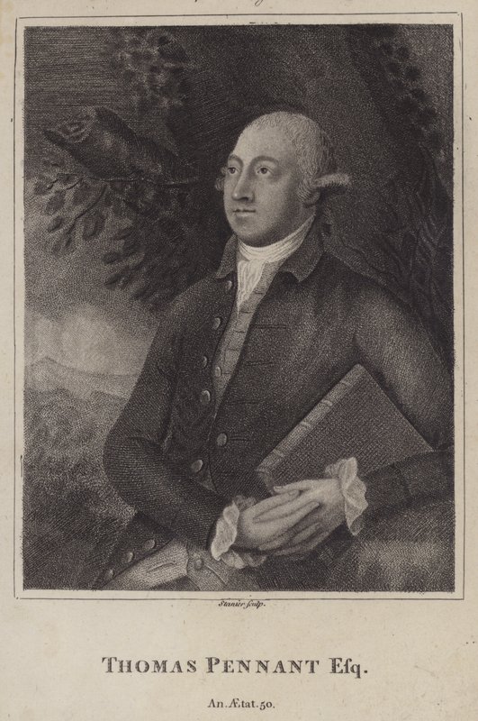 Thomas Pennant, Welshe natuuronderzoeker en topograaf door English School
