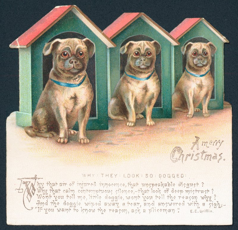 Drie honden in hokken, Kerstkaart door English School