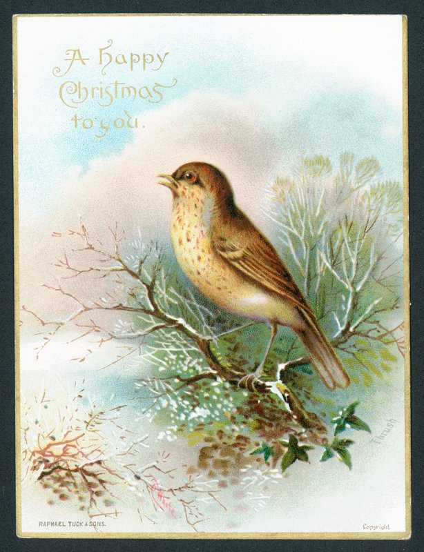 Lijster, Kerstkaart door English School