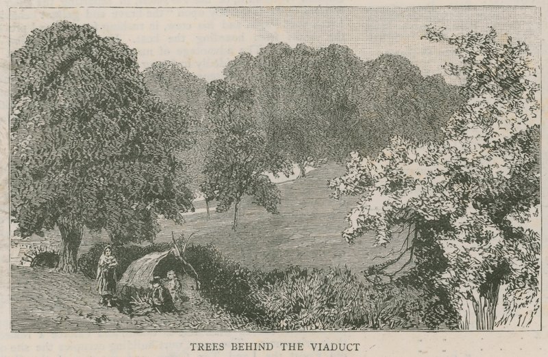 Bomen achter het viaduct door English School