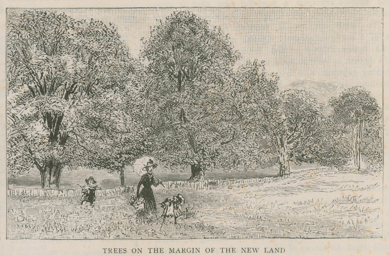 Bomen aan de rand van het nieuwe land door English School