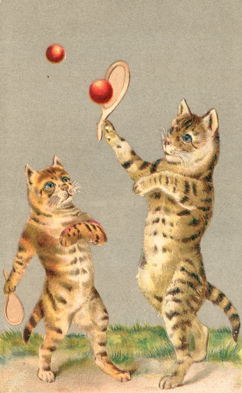 Twee katten spelen met rackets en bal door English School