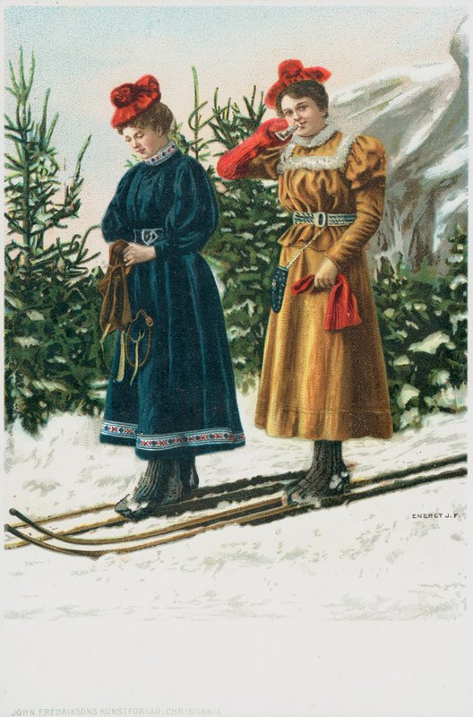 Twee vrouwen op ski