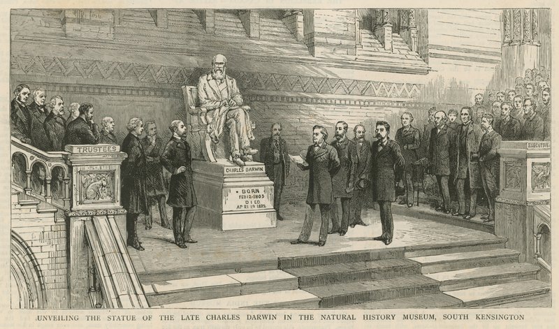 Onthulling van het standbeeld van wijlen Charles Darwin in het Natuurhistorisch Museum, South Kensington door English School