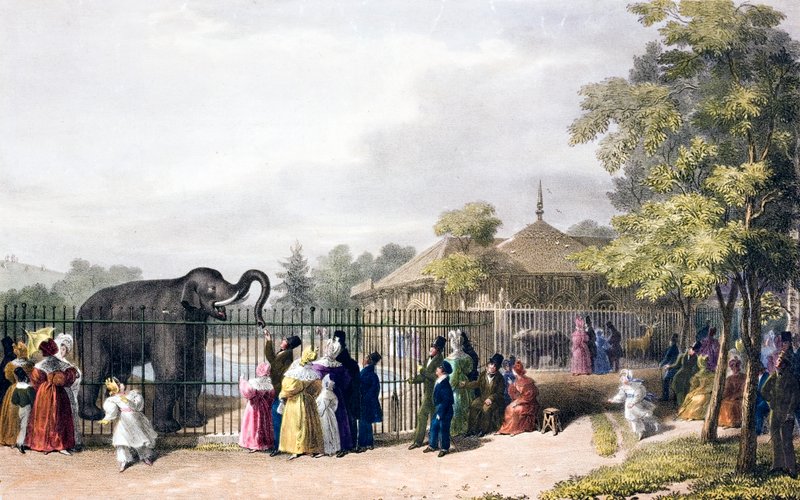 Bezoekers van de London Zoo, Regent