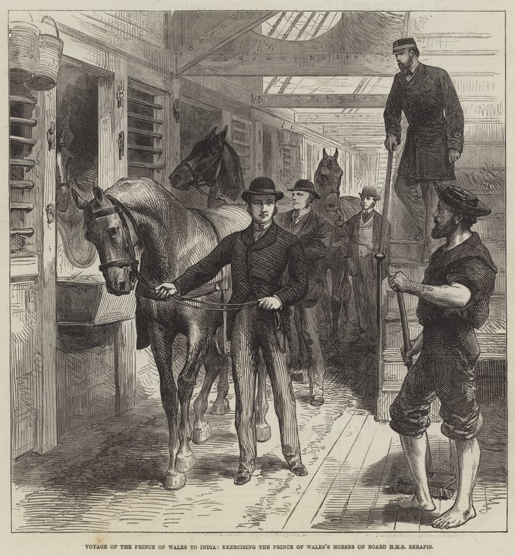 Reis van de prins van Wales naar India, het oefenen van de paarden van de prins van Wales aan boord van HMS Serapis door English School