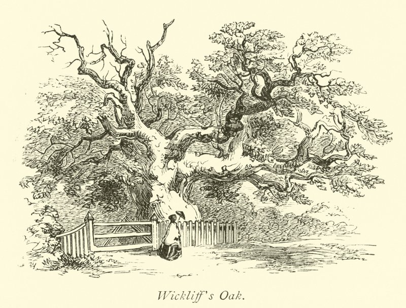 Wickliffs Eik door English School