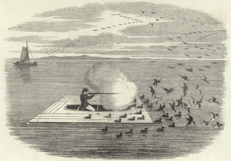 Jacht op wilde eenden op de Potomac door English School
