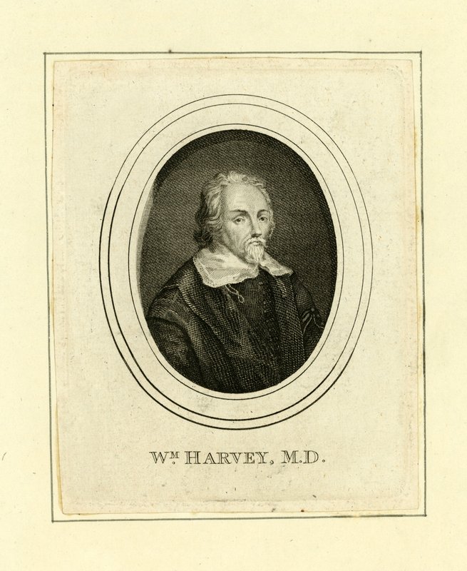William Harvey door English School