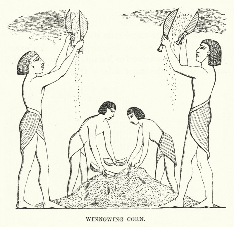 Koren wannen (gravure) door English School