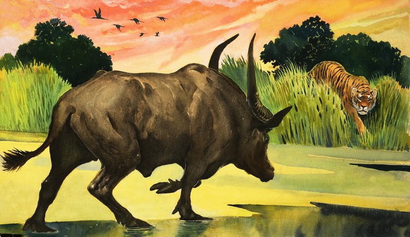 Wonderen der natuur: Het felste dier van allemaal door English School