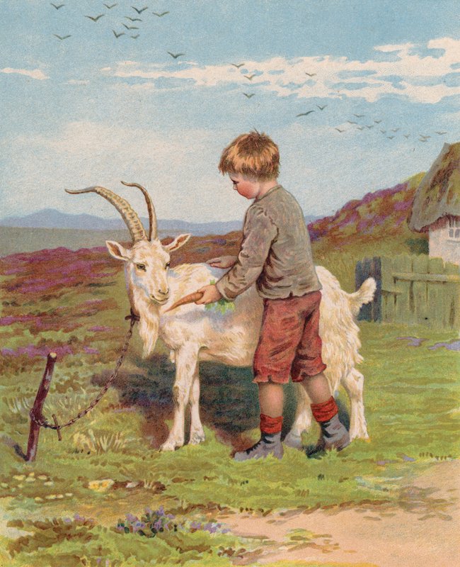 Jonge jongen voert een wortel aan een bok op een boerderij door English School