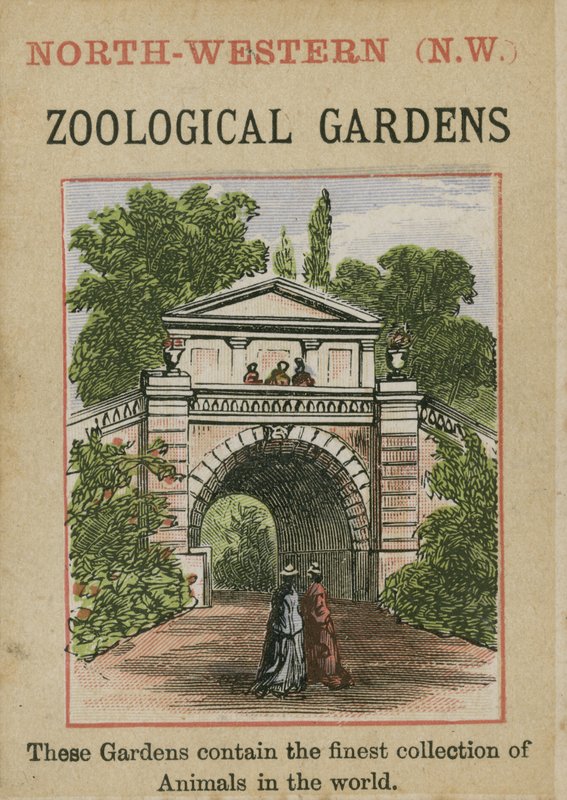 Dierentuin door English School