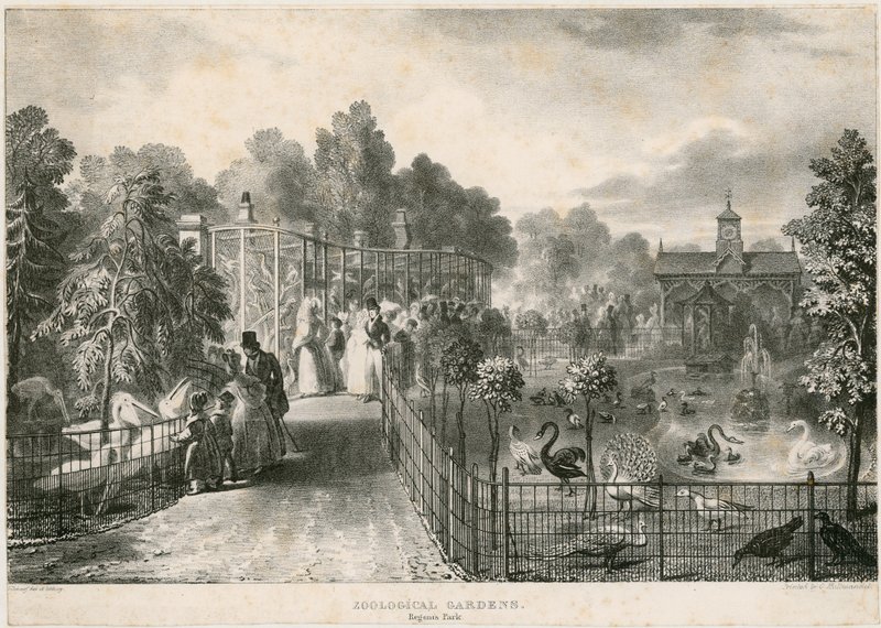 Dierentuin, Regents Park door English School