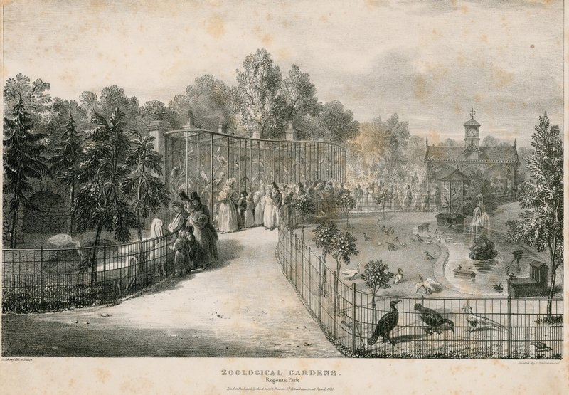 Dierentuin, Regents Park door English School