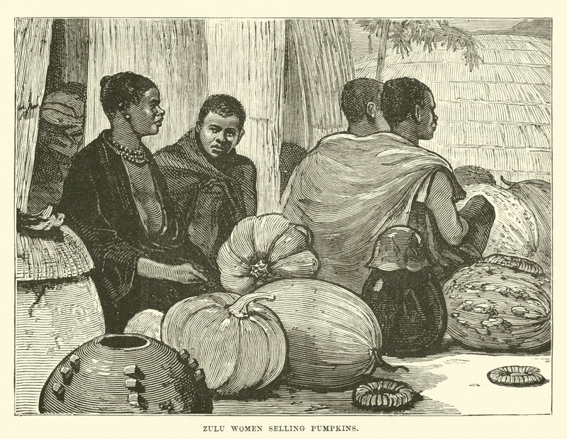 Zulu vrouwen die pompoenen verkopen door English School