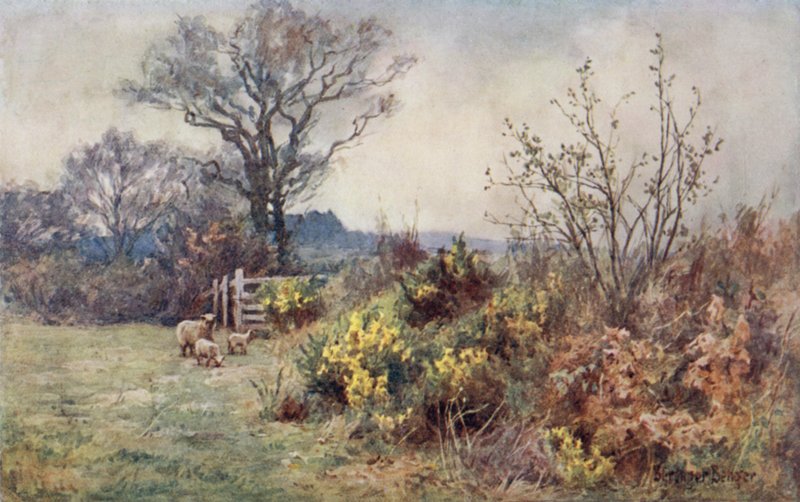 Het veld en de kudde door Ernest Benger or Berenger
