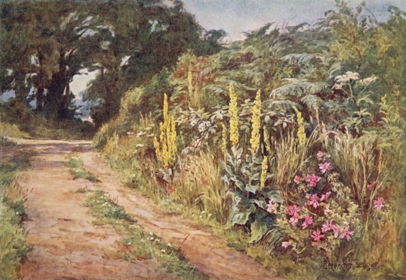 Het hart van de heg door Ernest Benger or Berenger