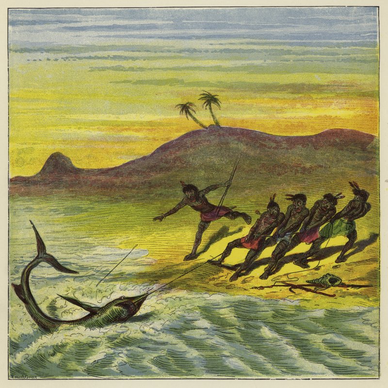 Een haai vangen door Ernest Henry Griset