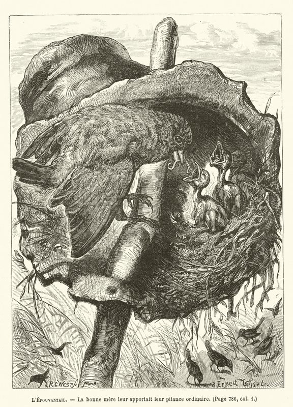LEpouvantail, De goede moeder bracht hen hun gewone kost door Ernest Henry Griset