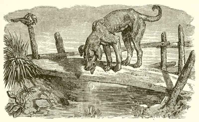 De Hond en zijn Schaduw door Ernest Henry Griset