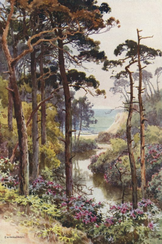 Branksome Chine, Bournemouth door Ernest William Haslehust