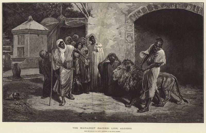 De Marabout Heilige Leeuw, Algiers door Eugene Pavy