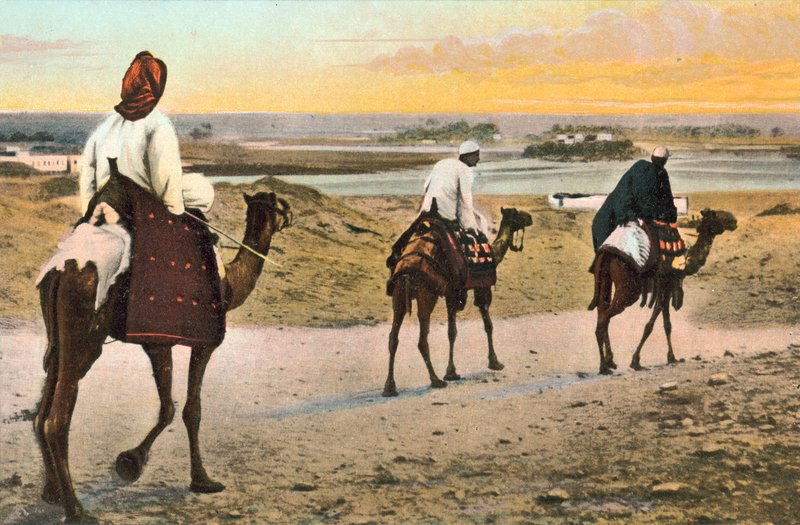Kamelen, Noord-Afrika door European Photographer