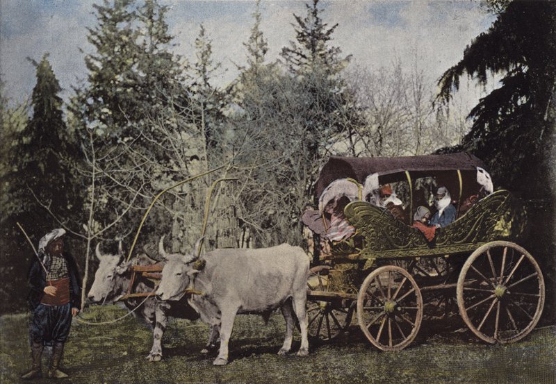 Wandelwagen van Turkse Dames door European Photographer