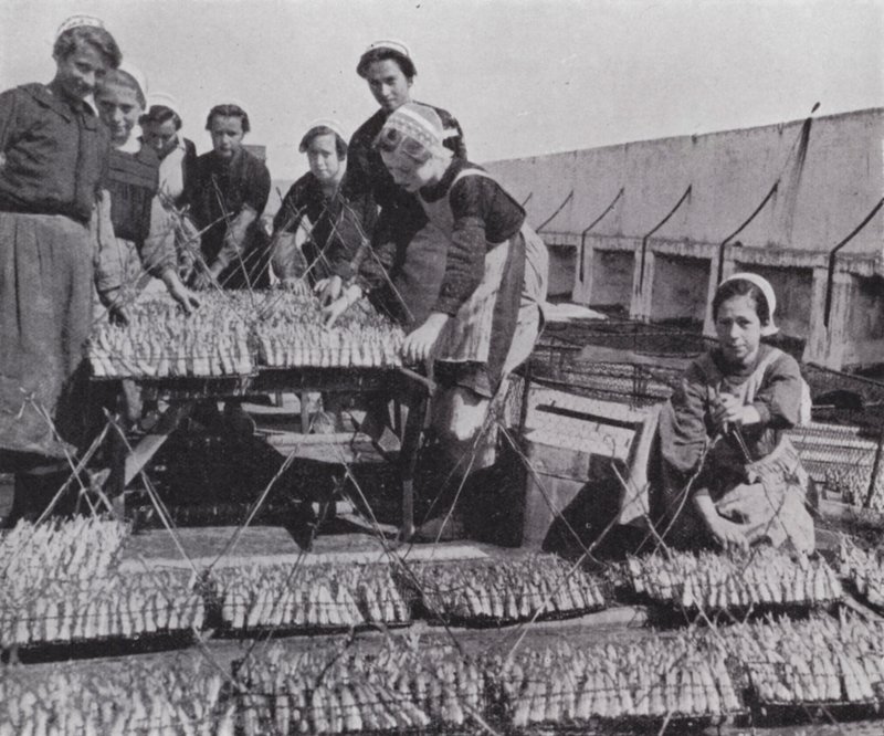 Drogen van Sardine (zw/w foto) door European Photographer