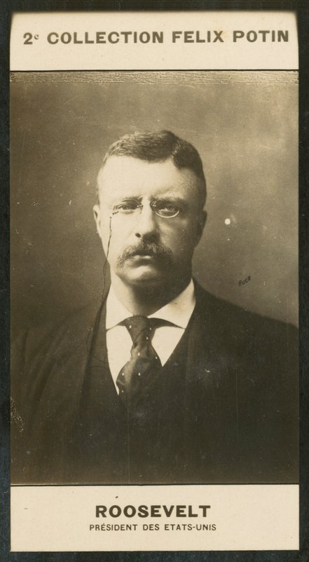 Theodore Roosevelt, President van de Verenigde Staten door European Photographer
