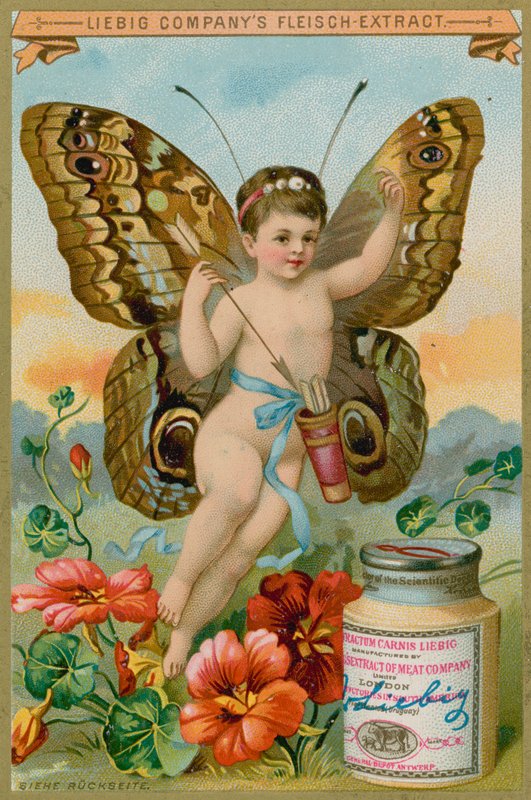 Vlinder Cherub met Rode Bloemen door European School