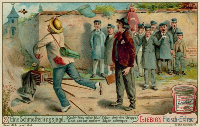 Vlinders vangen en fotografie door European School