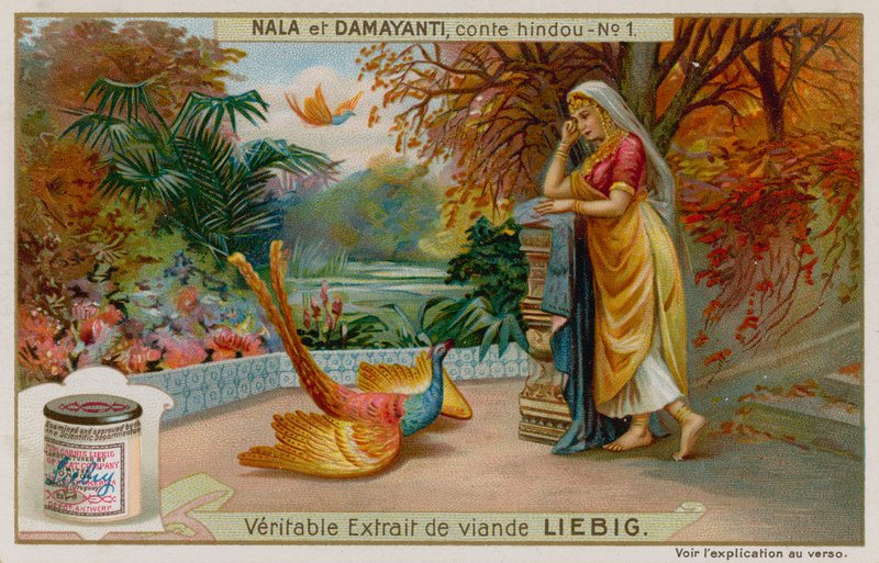 Damayanti leert over Nala
