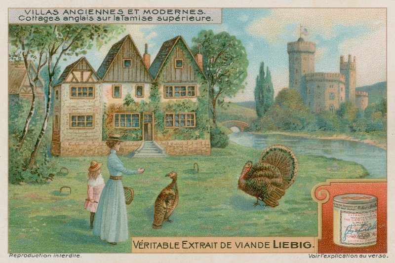 Engelse cottages aan de Boven-Theems door European School
