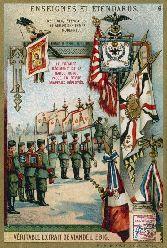 Eerste Regiment van de Russische Garde wordt gereviewd met vlaggen door European School