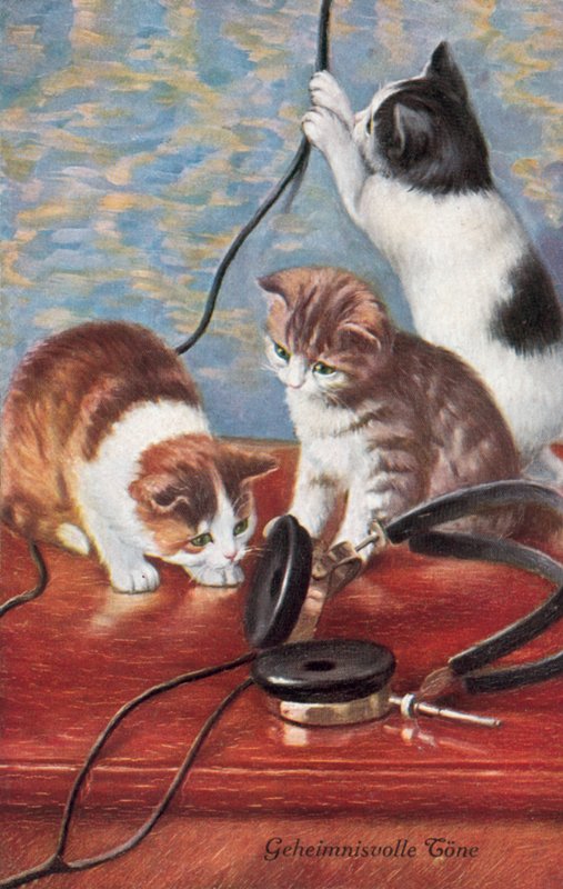Humoristische kattenpostkaart (kleurenlitho) door European School