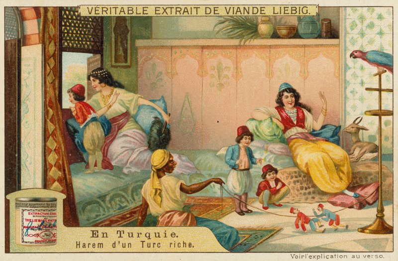 Binnen in de harem van een rijke Turk door European School