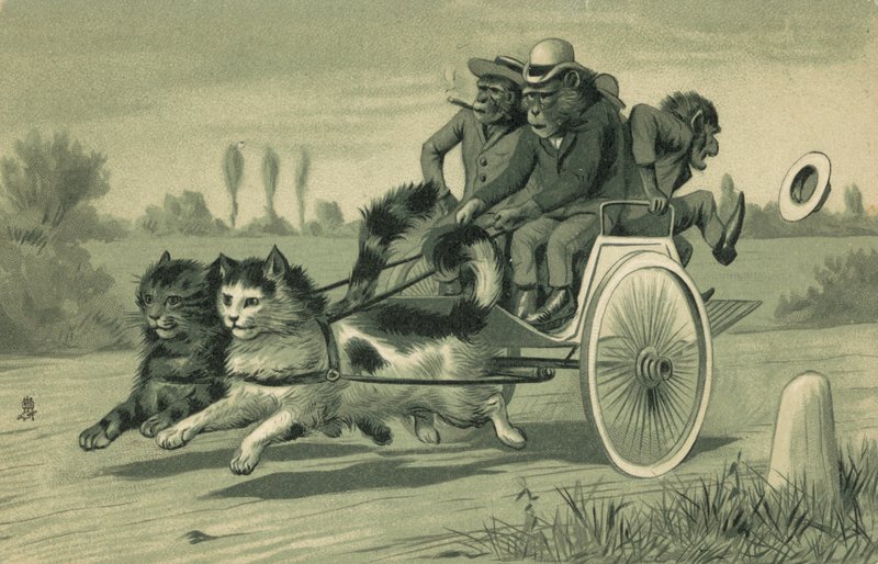 Apen die een koets trekken, getrokken door twee katten door European School