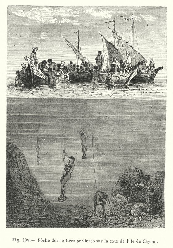 Parelvisserij op de kust van het eiland Ceylon (gravure) door European School