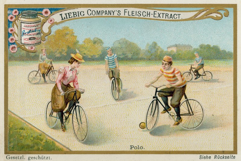 Polo door European School